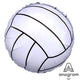 18" Championship Volleyball - Anagram