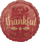 18" Thankful (10ct) - Anagram