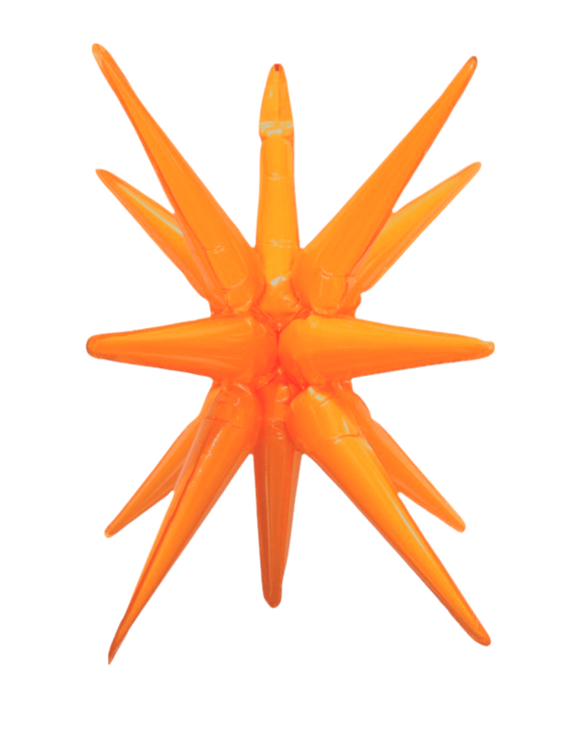 27" Starburst - Winner Party