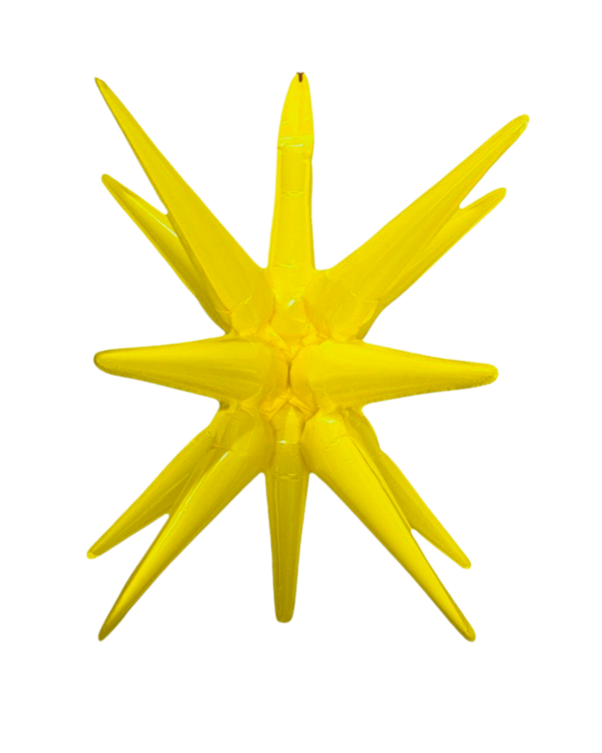 27" Starburst - Winner Party