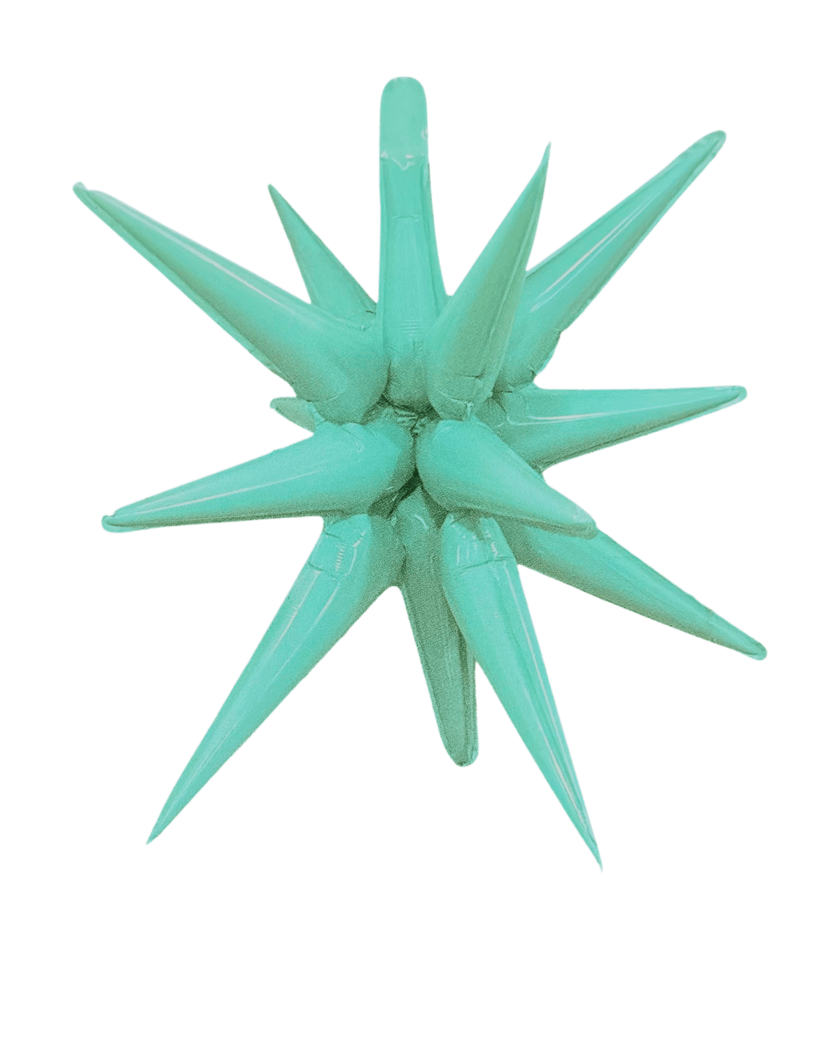 27" Starburst - Winner Party