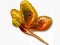 31" Dragonfly - Gold Red