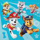 5" Beverage Napkins - Paw Patrol (16ct) - Unique