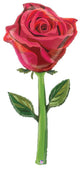 65" Fresh Picks Satin Rose - Betallic