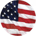 7" Paper Plates - Flying Colors (8ct) - Amscan