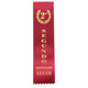 8" Award Ribbon - Segundo Lugar