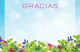 Enclosure Card - Gracias (50 count)