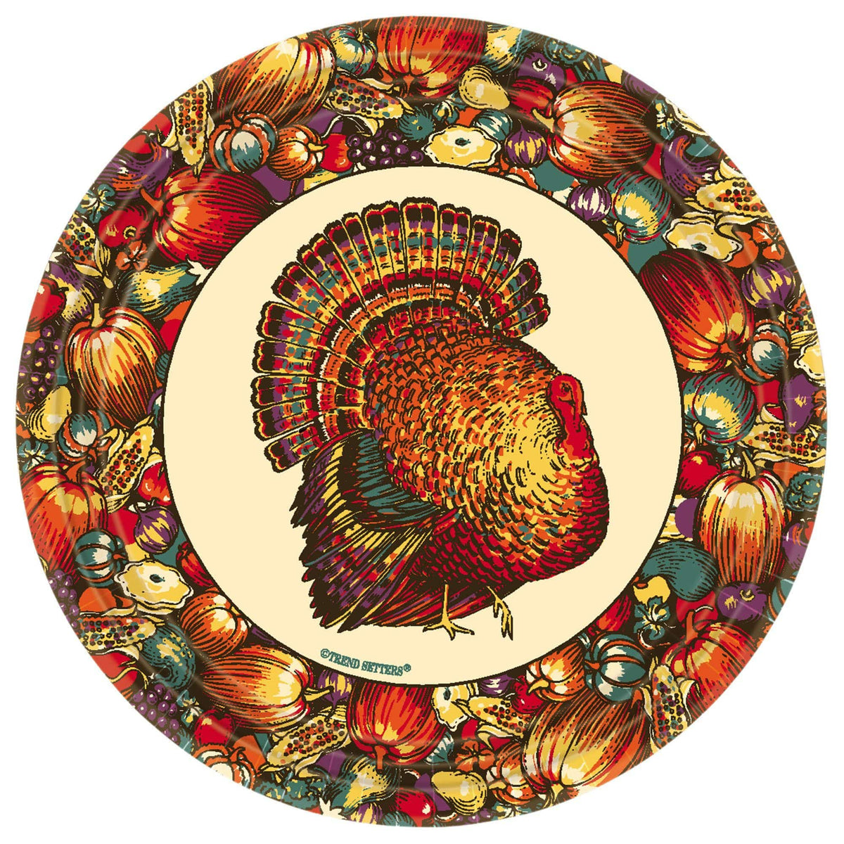 Amscan Autumn Turkey Dinner Plates (10 count)