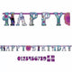 Frozen Birthday Customizable Age Banner