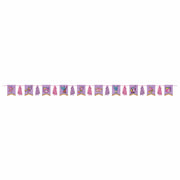 Amscan Party Supplies Rainbow Butterfly Unicorn Kitty Pennant & Tassel Garland