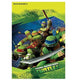 Teenage Mutant Ninja Turtle Loot Bags (8 count)