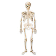 Anagram Mylar & Foil Mr. Bones Skeleton AirWalker 75″ Balloon