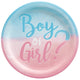 Boy or Girl? Gender Reveal Paper Plates (8 count)