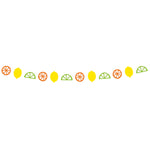 Citrus Fruit Garland by Unique from Instaballoons