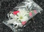 CLEAR Cello Bag 4" x 2" x 9" - Box of 100 - Berwick Offray