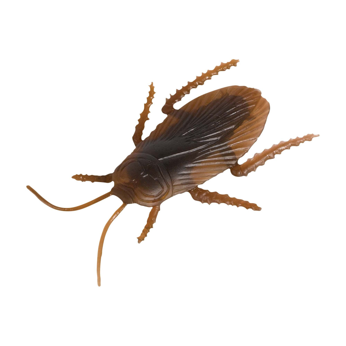 Cockroach Multi-Pack by Amscan from Instaballoons