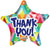 Convergram Mylar & Foil Thank You Star