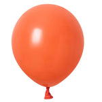 Coral Latex - Winntex Premium