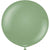 Eucalyptus 24″ Latex Balloons by Kalisan from Instaballoons