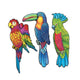 Exotic Bird Cutouts (3 count)