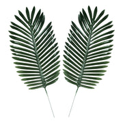 Fabric Ferb Palm Leaves by Beistle from Instaballoons