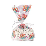 Fun Express Owl Party Cello Bags (12 count)