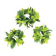 Leaf Headwreath & Wrist Band (3 count)