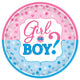 10.5" Paper Plates - Girl or Boy (8ct) - Amscan