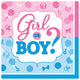 5" Beverage Napkins - Girl or Boy (16ct) - Amscan