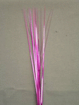 21" Onion Grass - Fuchsia (12 count)