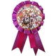 Guest of Honor Ribbon - Disney Princess Tangled - Amscan