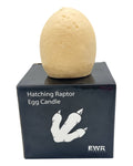 Hatching Raptor Egg Candle (1 Count) - Winner Party
