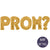 Giant PROM? 40" Balloon Banner Promposal Set