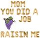 MOM YOU DID A GRAPE JOB RAISIN ME Mother's Day Balloon Banner Set