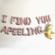 I FIND YOU APEELING! Valentine's Day Balloon Banner Set