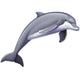 Jointed Dolphin