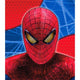 Spiderman Mini Notebooks (4 count)