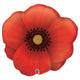 Pretty Poppy Flower 31″ Balloon