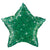 Star Holographic - Jewel Green 20″ Balloon