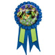 Teenage Mutant Ninja Turtles Award Ribbon 1ct - Amscan