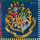 Harry Potter Large Napkins (16 count)