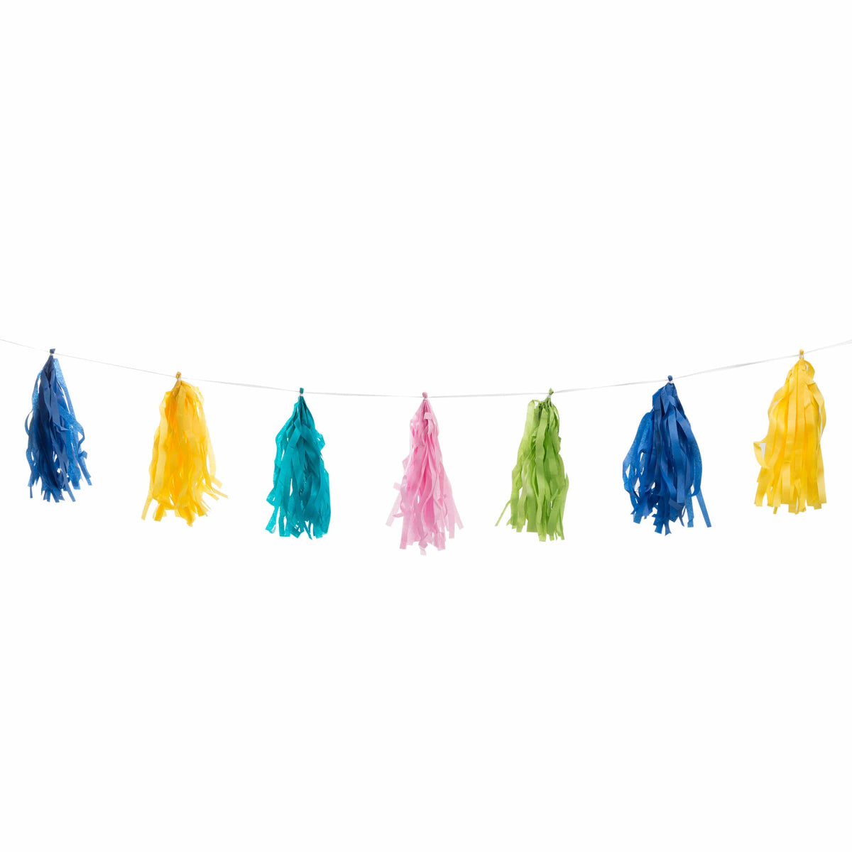 Unique Party Supplies Multi-Color 9-Foot Tassel Garland