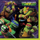 Teenage Mutant Ninja Turtles Lunch Napkins (16 count)