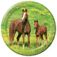 Wild Horses 9in Plates 9″ Balloons (8 count)