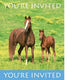 Wild Horses Invitations Balloons (8 count)